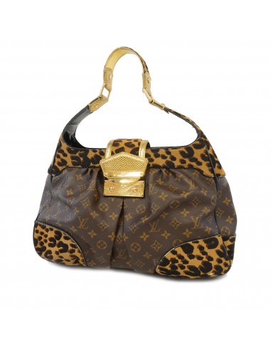 Auth Louis Vuitton Shoulder Bag Monogram Leopard Borry M95282 les ligaments